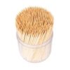 tooth pick